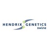 Hendrix Genetics Swine logo